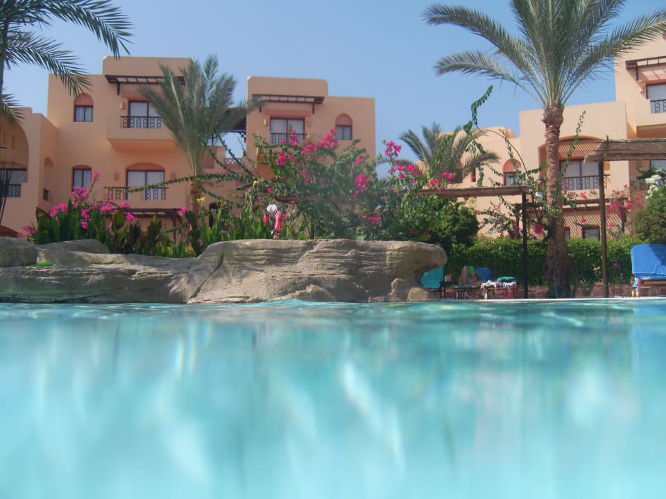 Pool Steigenberger Coraya Beach - Adults only