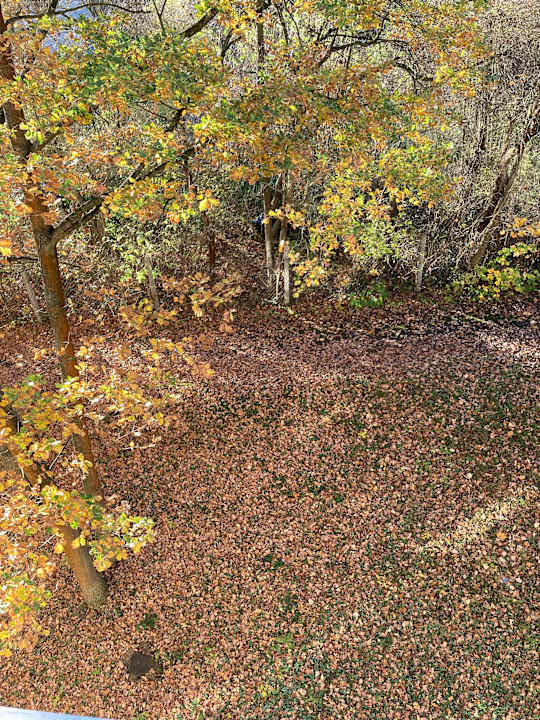 Ausblick Best Western Hotel Jena