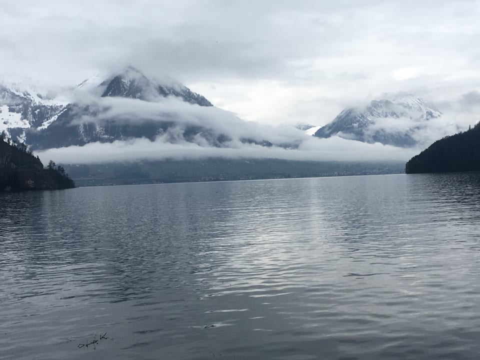 Ausblick See- und Seminarhotel FloraAlpina