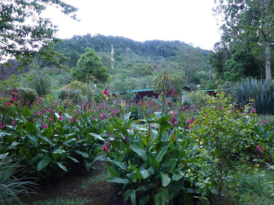 Wunderschöne Gartenanlage Savegre Mountain Lodge