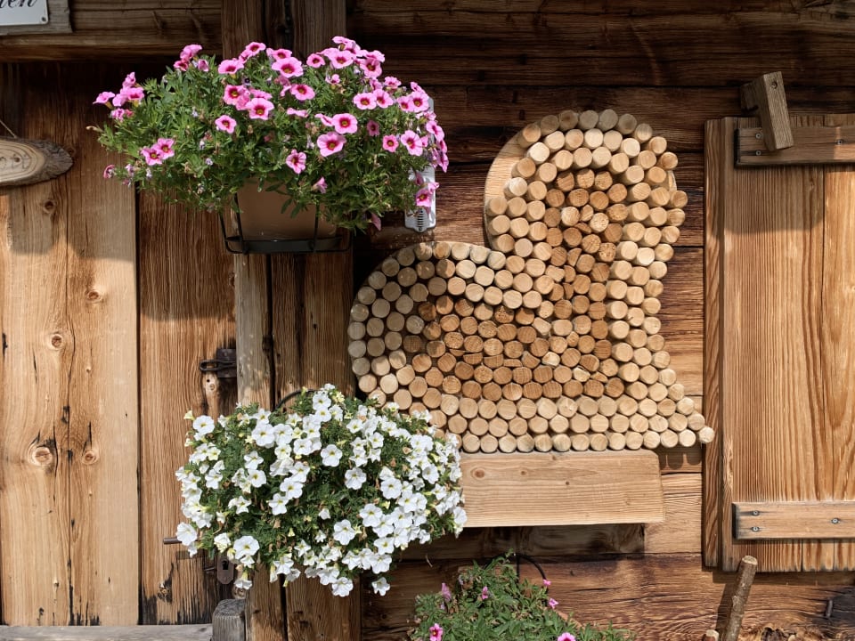 Ausblick Kräuterhotel Hochzillertal