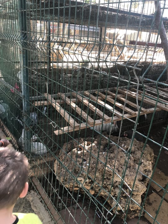 Sport & Freizeit Lonicera Resort & Spa Hotel