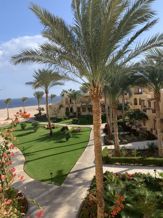 Gartenanlage Steigenberger Coraya Beach - Adults only