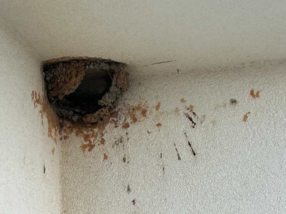 Zimmer Hipotels Mercedes