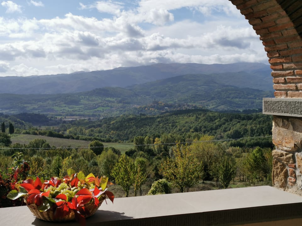 Ausblick Fattoria di Belvedere