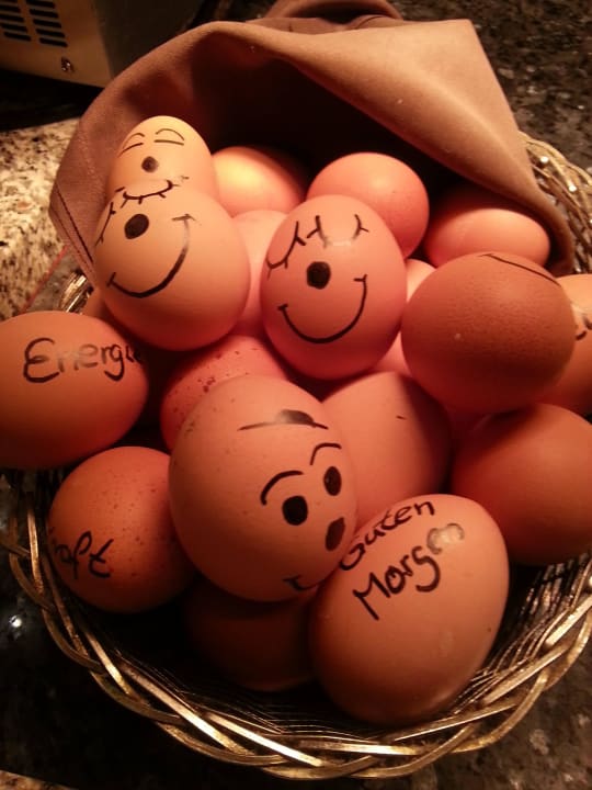 Lustig oder Best Western Plus Palatin Kongresshotel