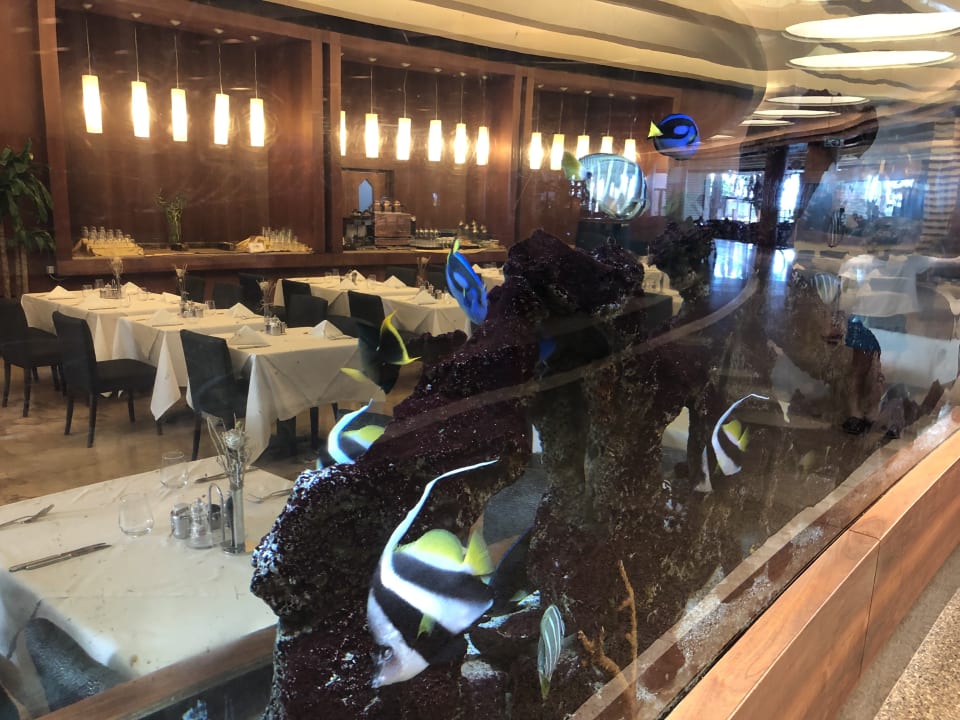 Gastro Gloria Serenity Resort