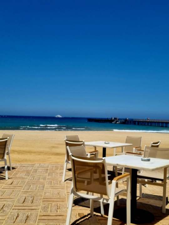 Gastro JAZ Elite Amara