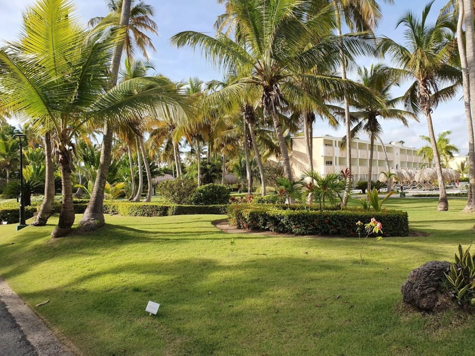 Gartenanlage TRS Turquesa Hotel - Adults only
