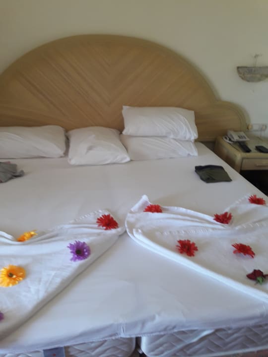 Zimmer Aska Hotel Just in Beach