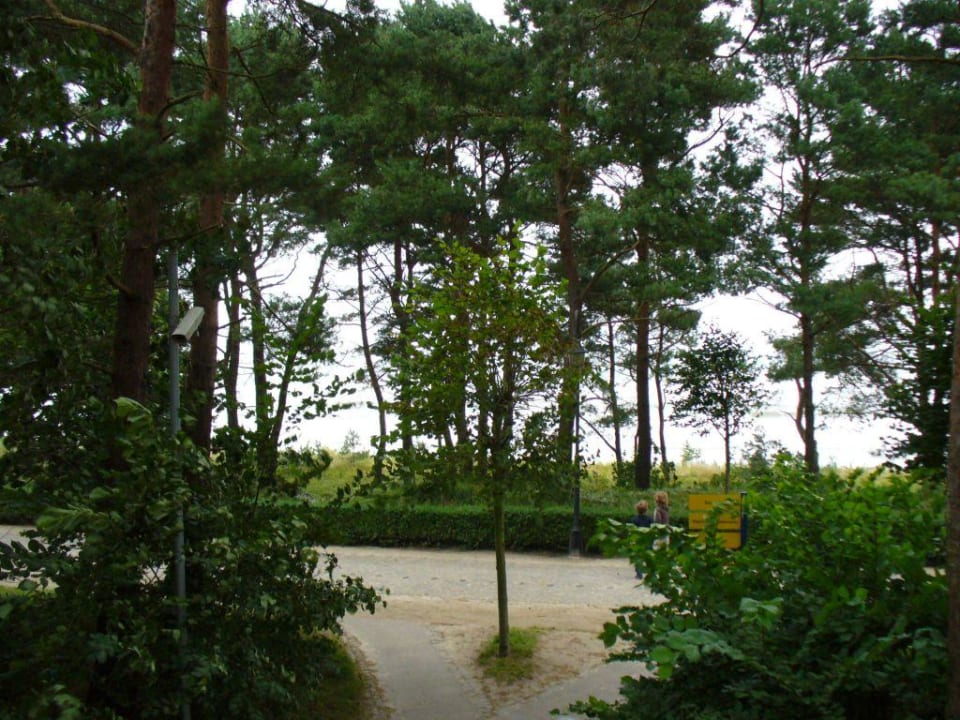 Blick aus dem Appartementzimmer - Haus Strandidyll IFA Rügen Hotel & Ferienpark