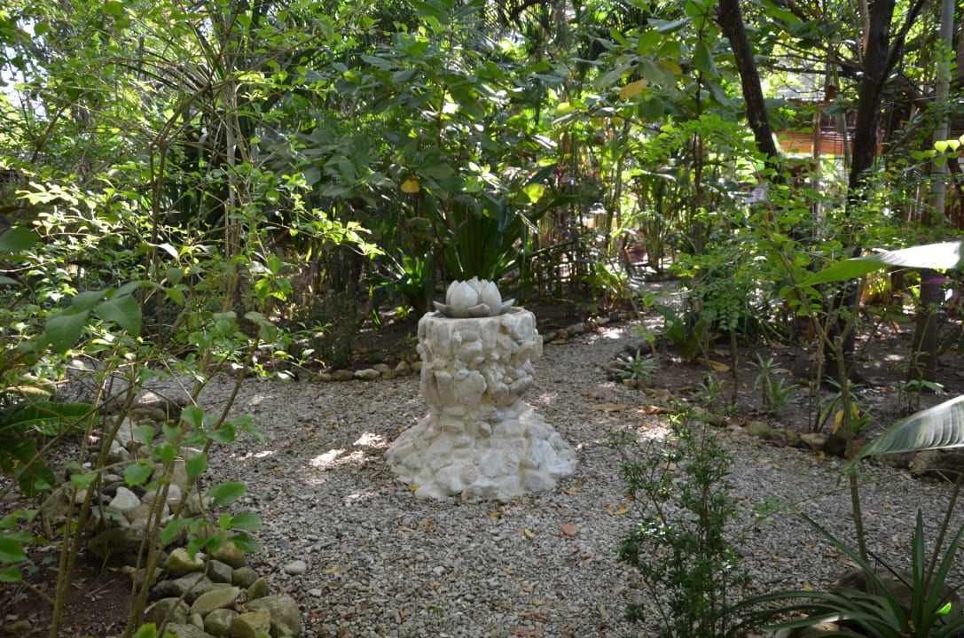 Schöne Gartenanlage Hotel Tropico Latino