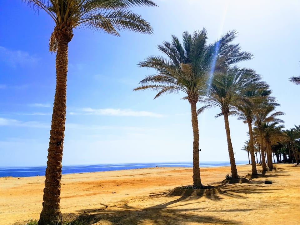 Strand Steigenberger Coraya Beach - Adults only