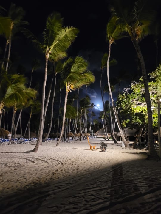 Strand Meliá Caribe Beach Resort-All Inclusive