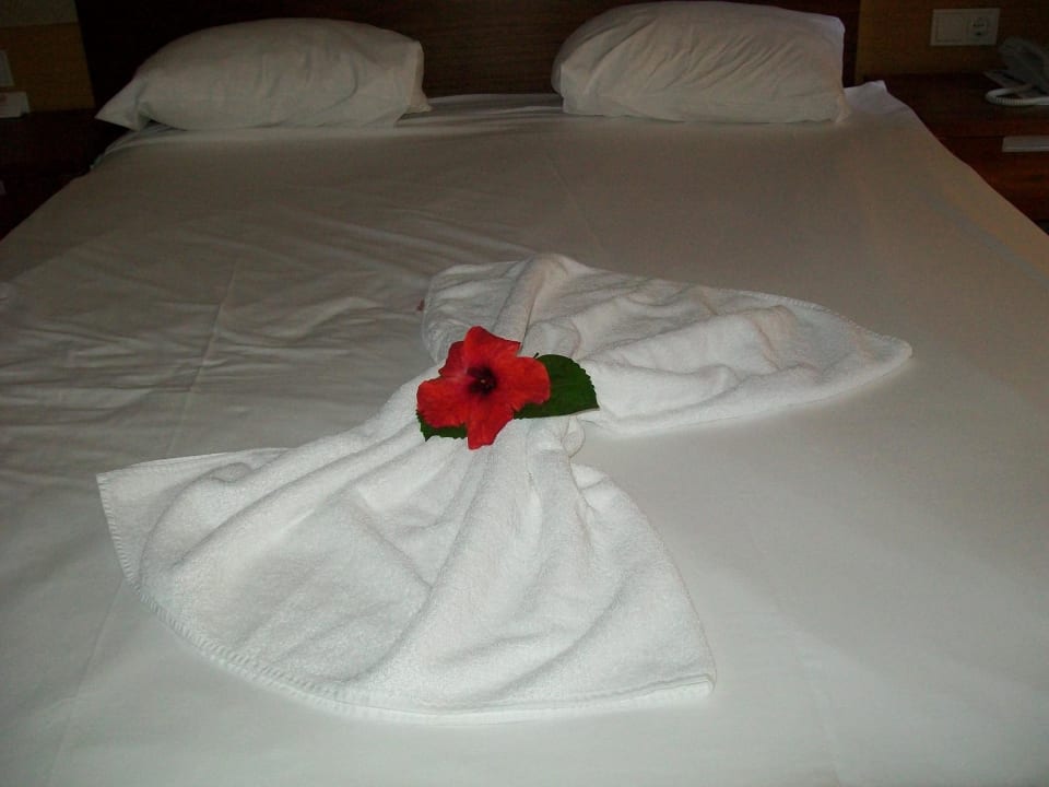 Zimmerreingung Trendy Aspendos Beach Hotel