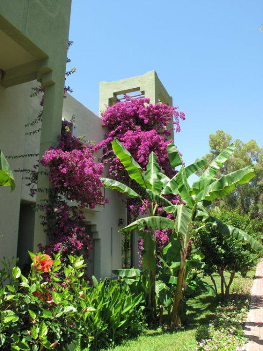 Bungalow VONRESORT Golden Beach