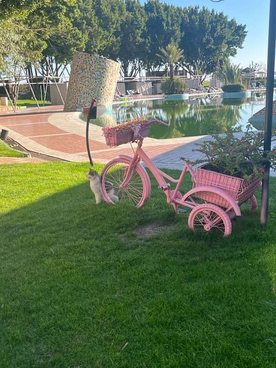 Gartenanlage Limak Limra Hotel & Resort