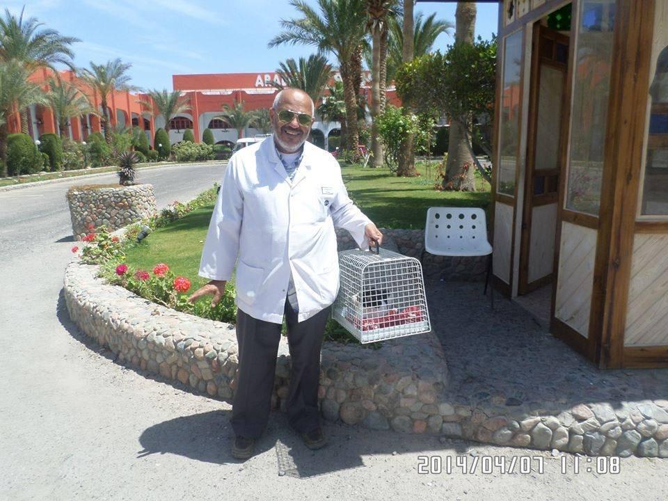 Cats Arabia Azur Resort