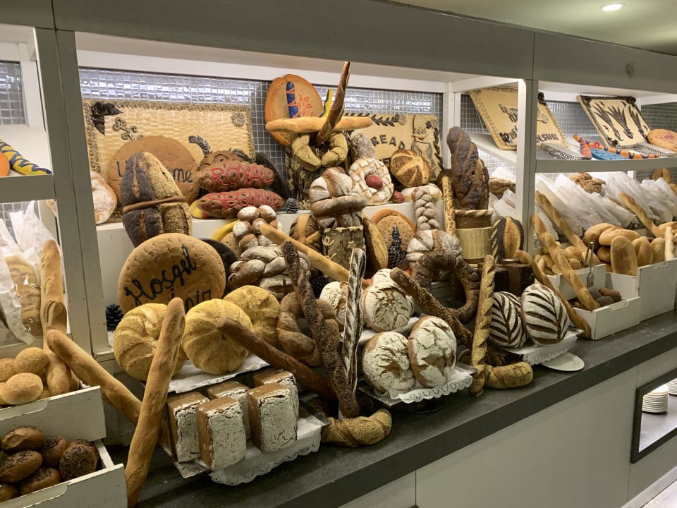 Gastro Royal Seginus