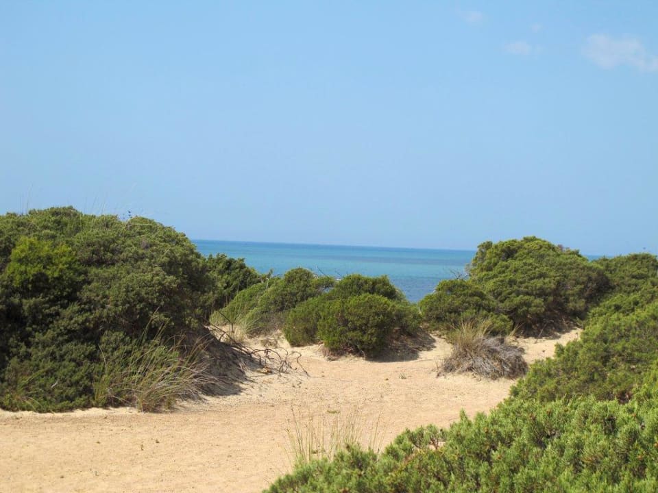 Weg zum Strand Hipotels Playa la Barrosa