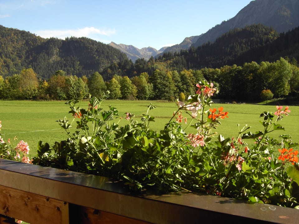 Aussicht vom Balkon Gästehaus Buigenhof
