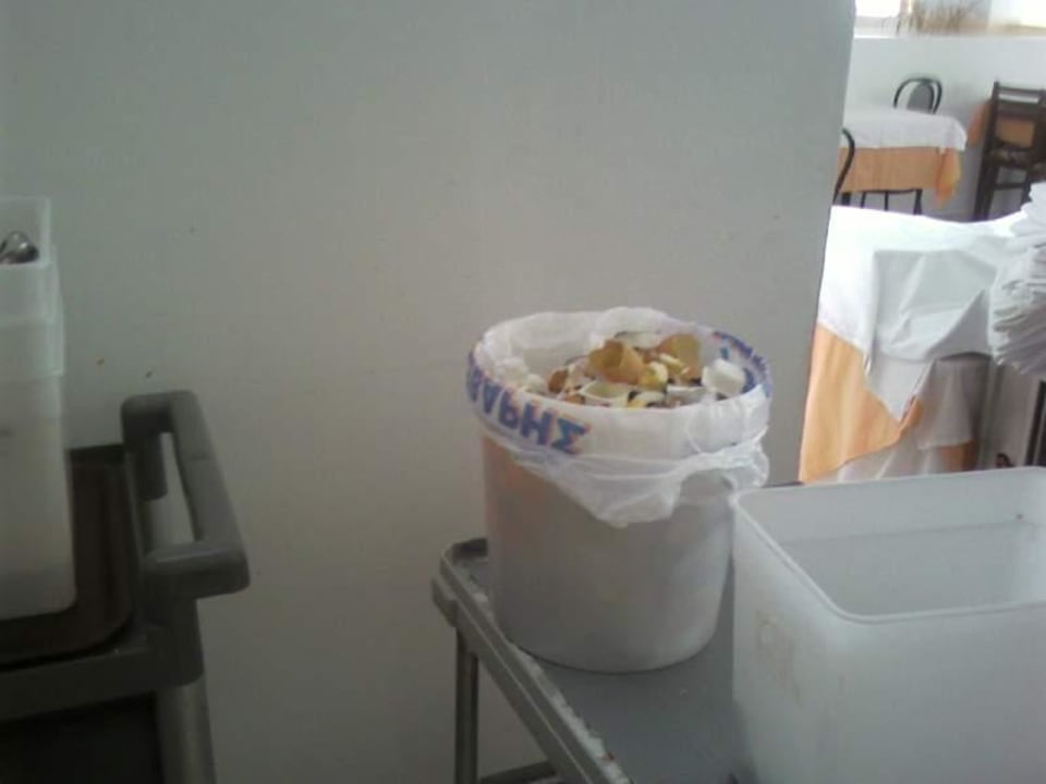 ristorante Hotel Koala