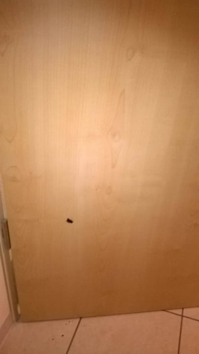 Reinigung fehlte Hotel am Vitalpark