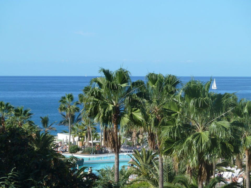 Blick in Garten mit Pool Hotel Riu Gran Canaria