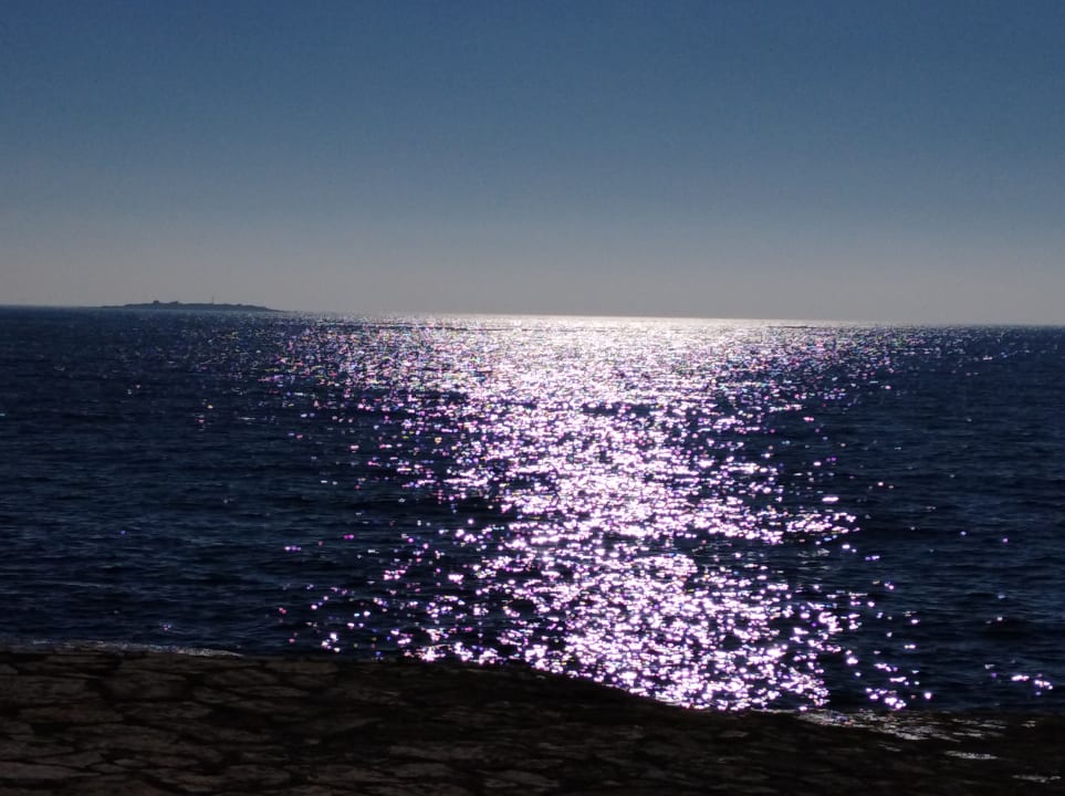 Ausblick Hotel Parentium Plava Laguna