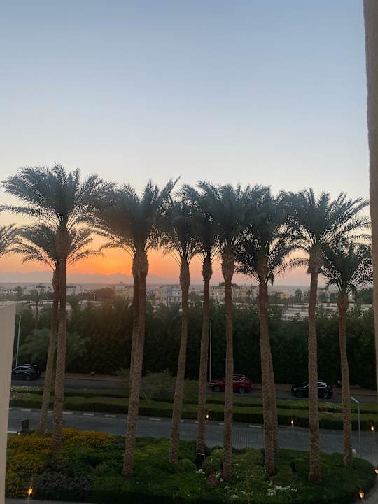 Ausblick Steigenberger Aqua Magic