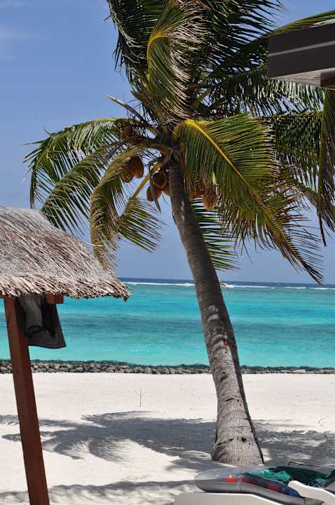 Ausblick von Bungi 210 Summer Island Maldives