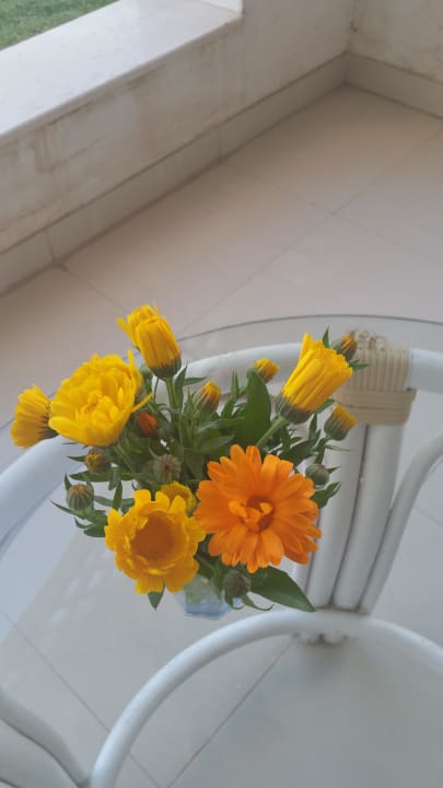 Frische Blumen auf unserer Terasse Old Palace Resort Sahl Hasheesh
