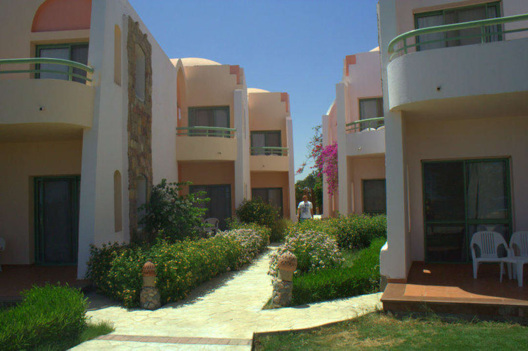 Вид на номер Shams Alam Beach Resort