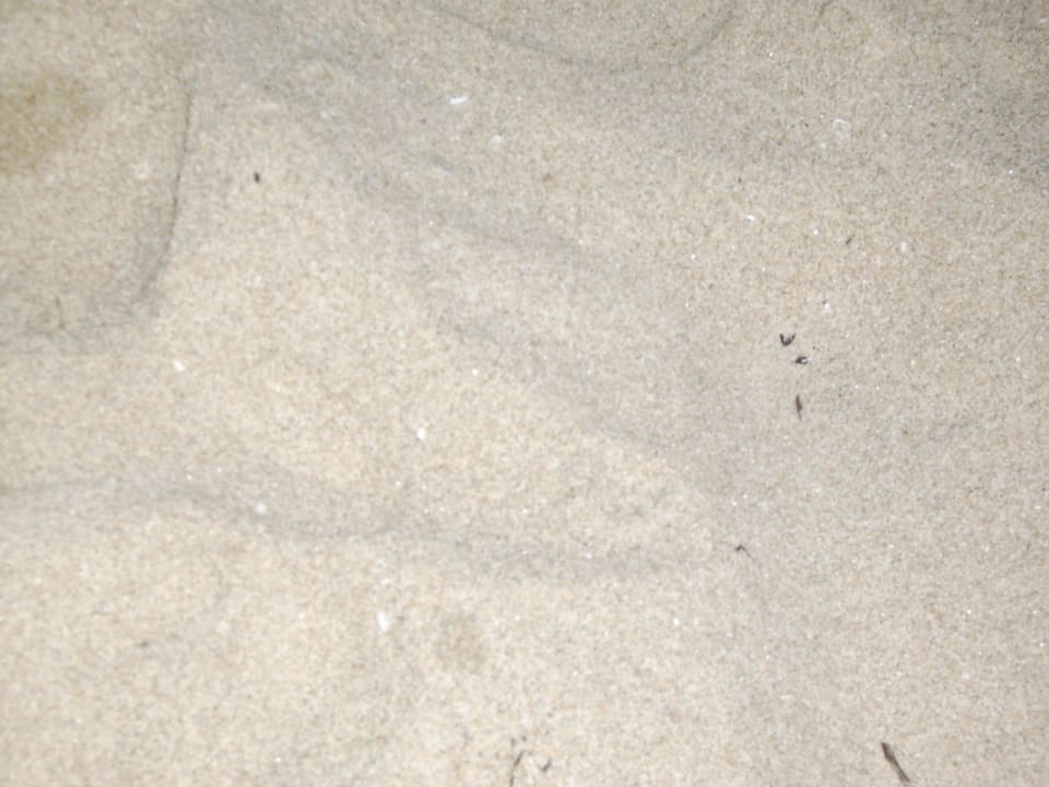 Sand von Sonnenstrand HVD Club Bor