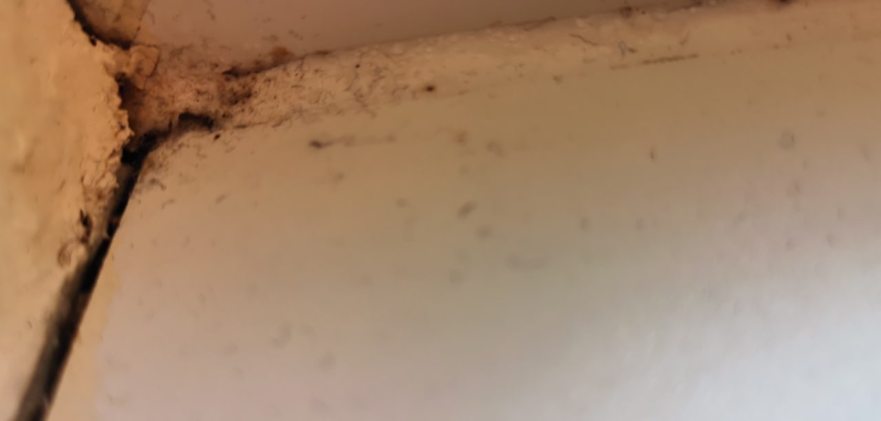 Zimmer Center Parcs Park Bostalsee