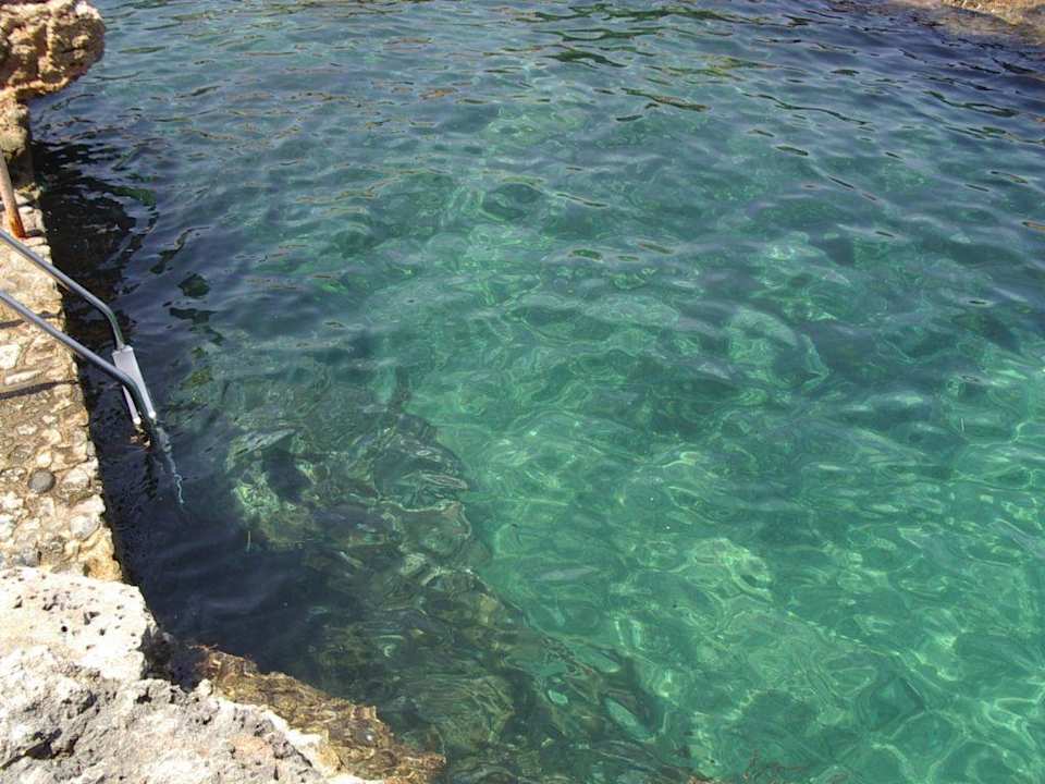 tolles glasklares Meer Comino Hotel & Bungalows