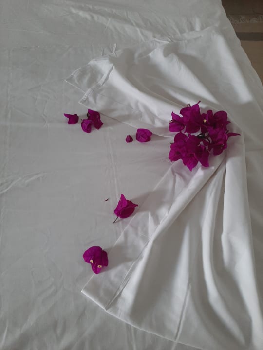 Zimmer Mahdia Beach & Aquapark