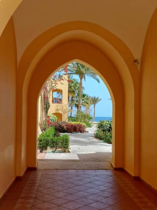 Gartenanlage Steigenberger Coraya Beach - Adults only