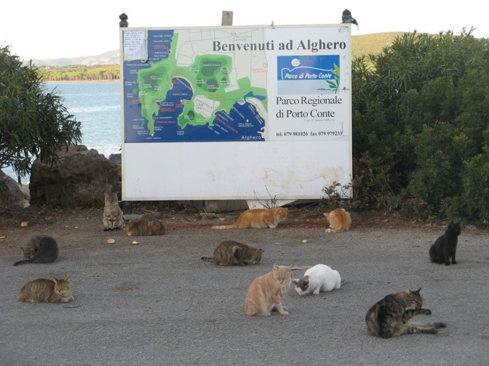 Hotel El Faro, Alghero Hotel El Faro