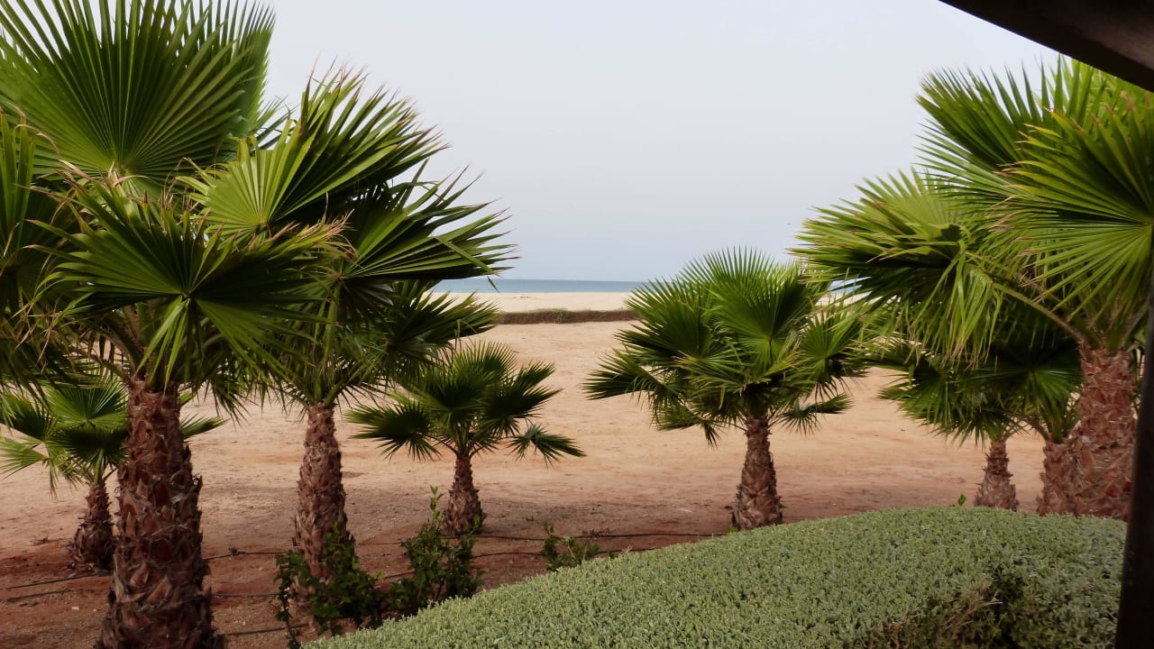 Blick von der Poolliege aus Hotel Riu Touareg