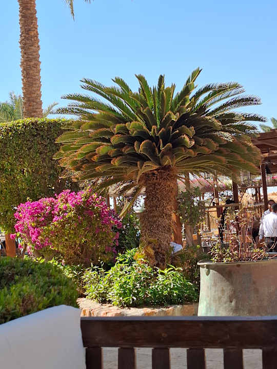 Ausblick Sultan Bey Hotel, El Gouna