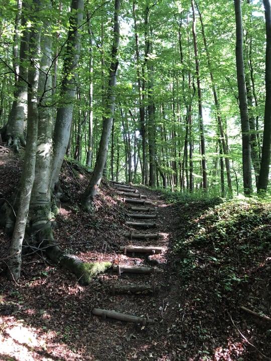 Gartenanlage RETTER Bio-Natur-Resort