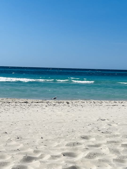 Strand Meliá Internacional Varadero