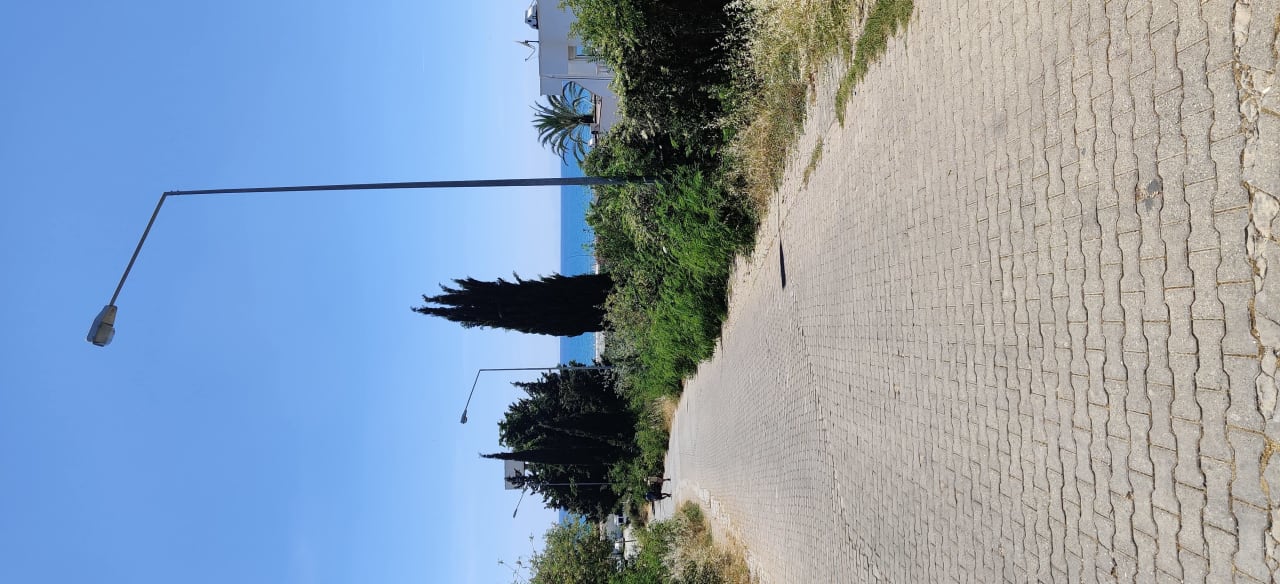 Außenansicht Side Alegria Hotel & Spa - Adults only +16