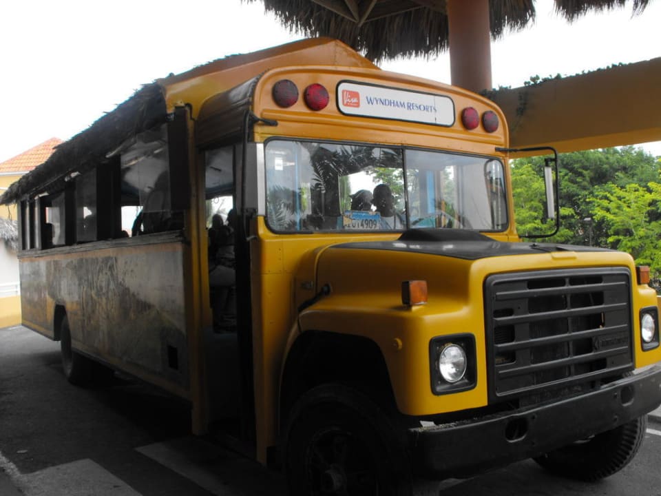 Der Hotelbus Hotel Viva Dominicus Palace by Wyndham-All Inclusive Resort
