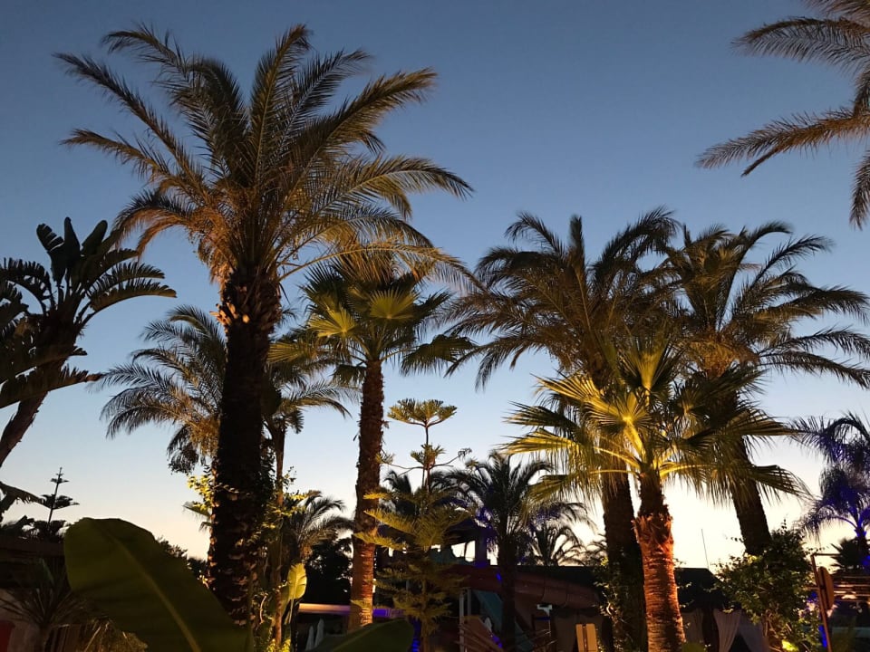 Ausblick Crystal Family Comfort Collection