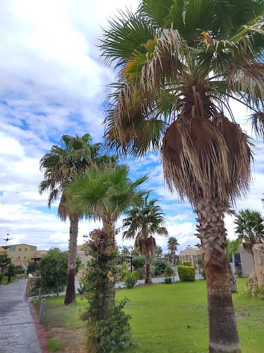 Gartenanlage Achilleas Beach Adults Only