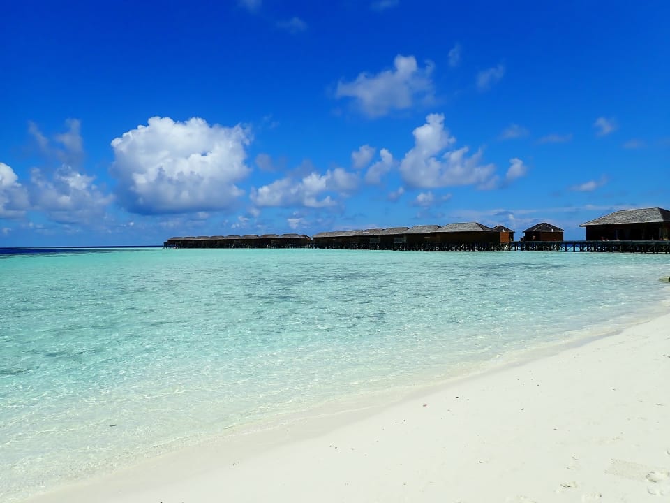 Außenansicht Vilamendhoo Island Resort & Spa