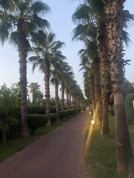 Gartenanlage Sunis Elita Beach Resort & Spa