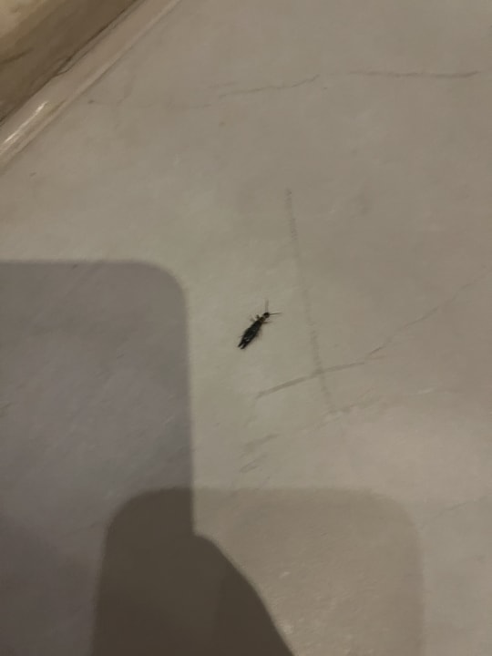 Zimmer The Grand Palace - Adults only